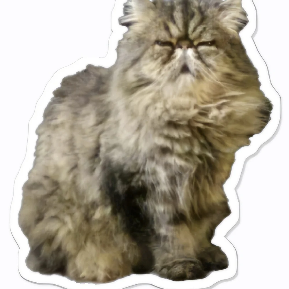 Fluffy Gray Cat Sticker - Picture 2 of 2